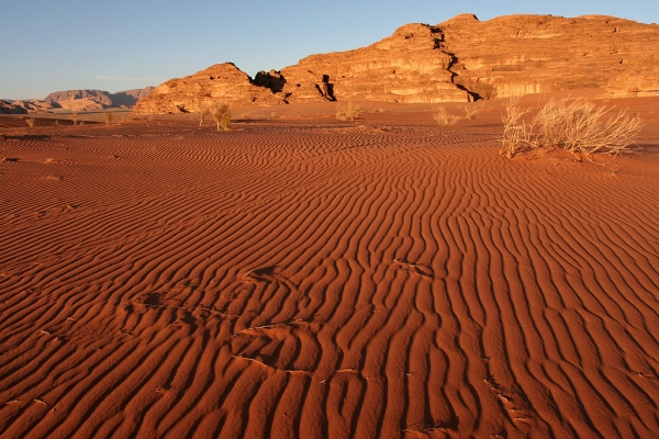Creation of Ugly Betty of the Desert: Step 2